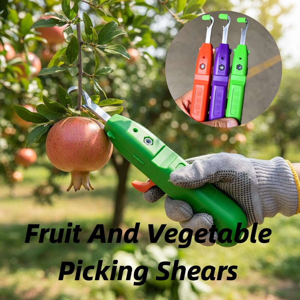 Gardening Tools Wholesale - Tesoura de Colheita de Frutas e