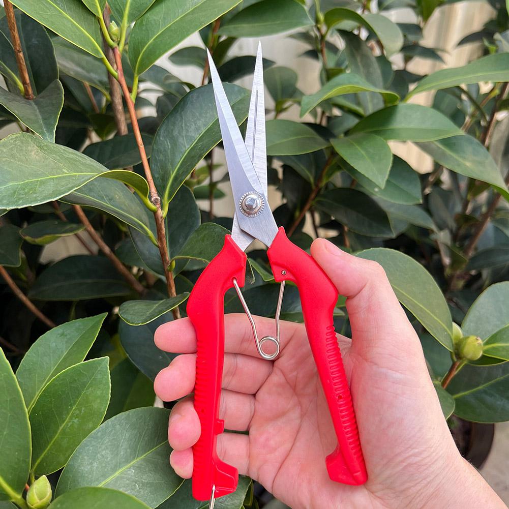 Gardening Tools Wholesale - Tesoura de Poda Profissional para Jardim,