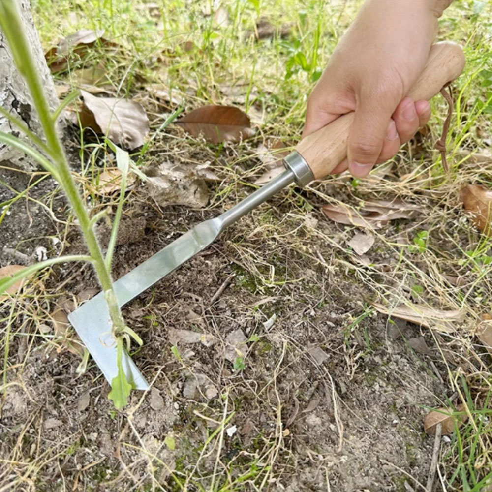 Ferramenta de Remoção de Ervas - Gardening Tools Used For Weeding avaliação e preço
