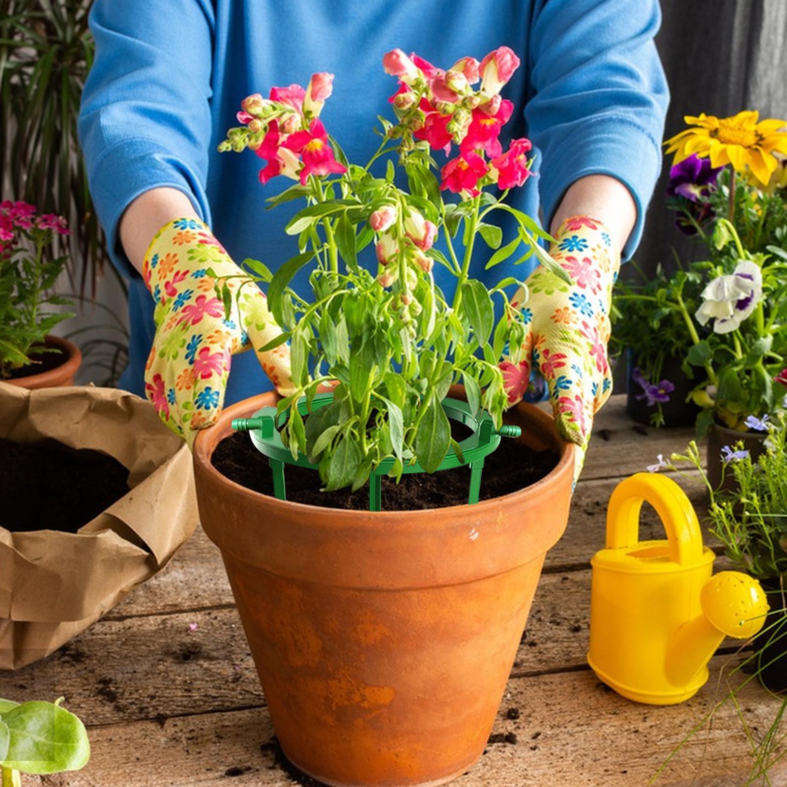 Anel de irrigação para plantas - Gardening Tools Target avaliação e preço