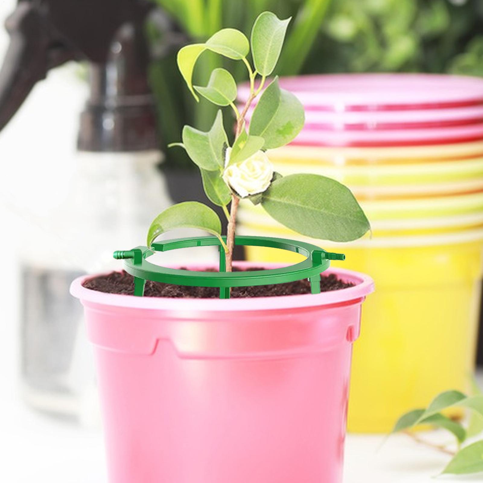 Anel de irrigação para plantas - Gardening Tools Target avaliação e preço