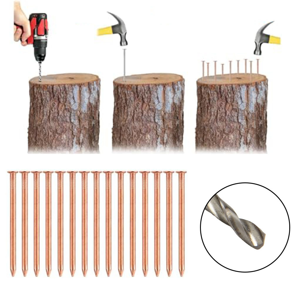 Pregos de cobre sólido de 2 po - Gardening Tools Target avaliação e preço
