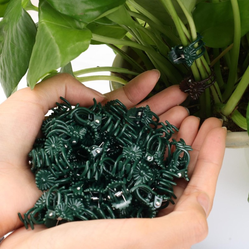Clipes de Suporte para Plantas - Gardening Tools Wholesale avaliação e preço