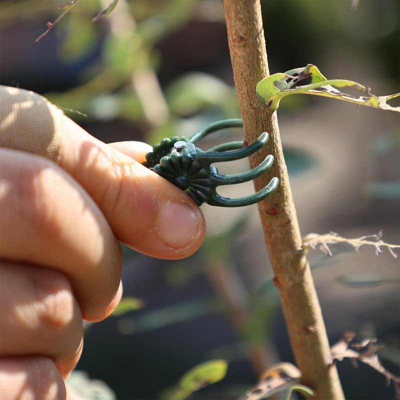 Clipes de Suporte para Plantas - Gardening Tools Wholesale avaliação e preço