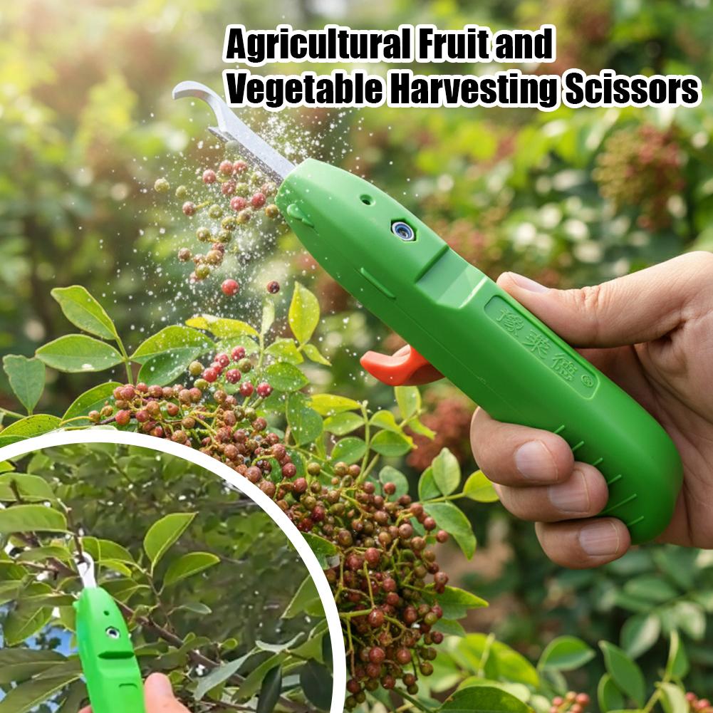 Tesoura de Colheita de Frutas  - Gardening Tools Wholesale avaliação e preço