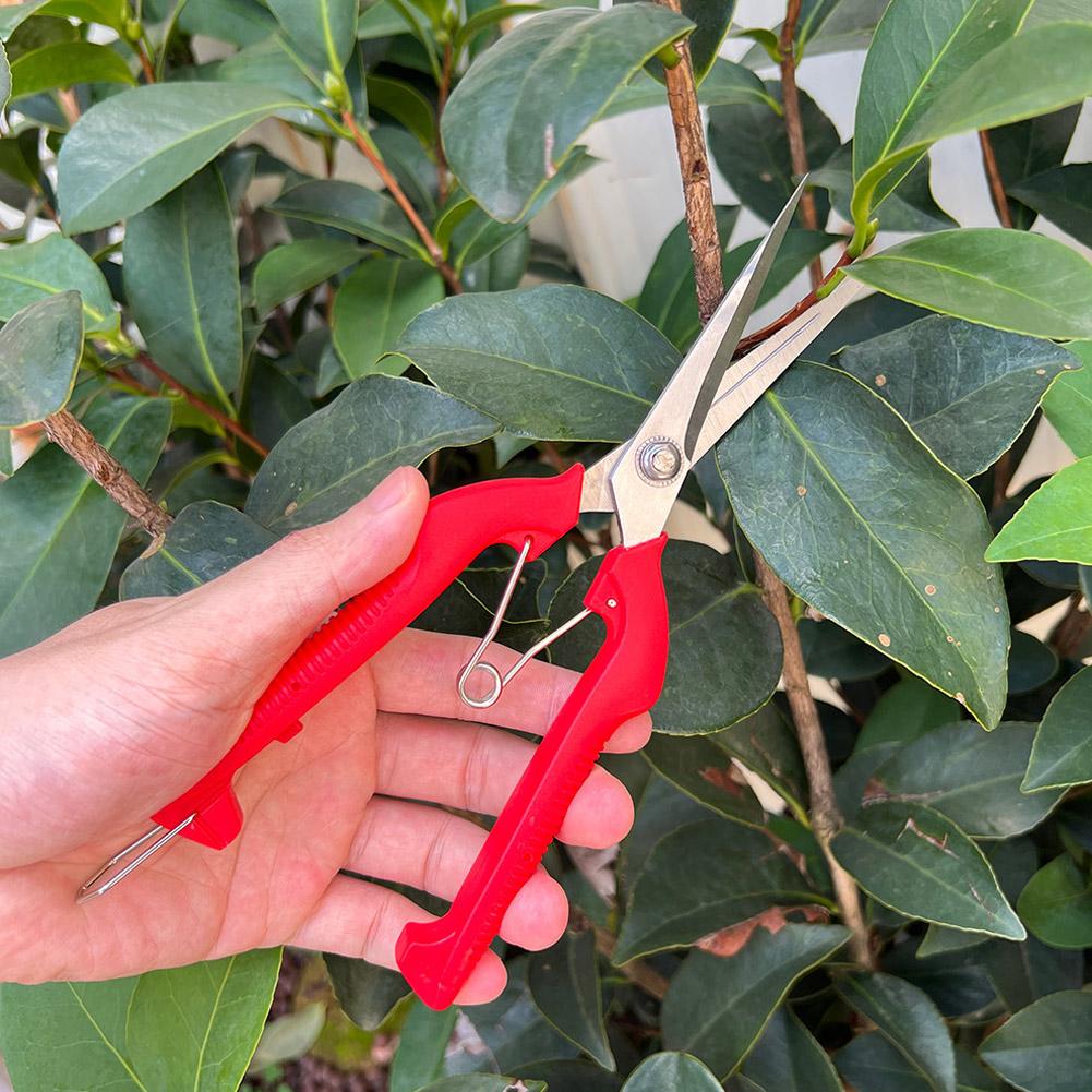 Tesoura de Poda Profissional p - Gardening Tools Wholesale avaliação e preço