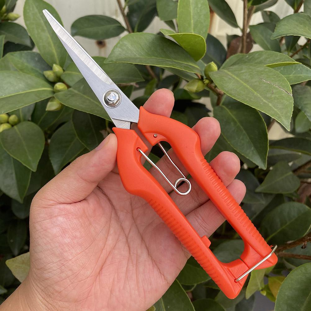 Tesoura de Poda Profissional p - Gardening Tools Wholesale avaliação e preço