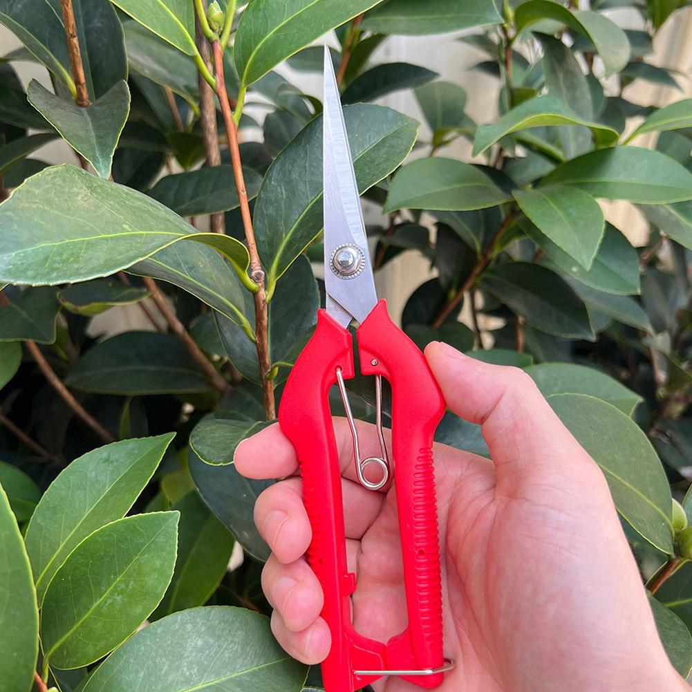 Tesoura de Poda Profissional p - Gardening Tools Wholesale avaliação e preço