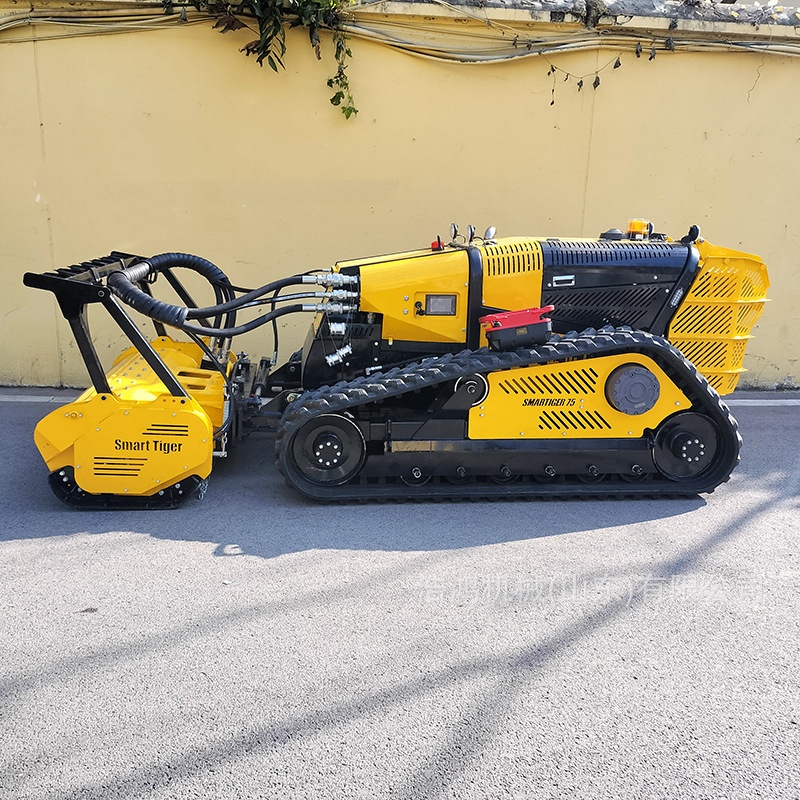 Máquina de Controle Remoto Int - Gardening Tools Wholesale avaliação e preço
